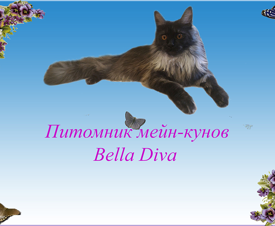 Описание изображения